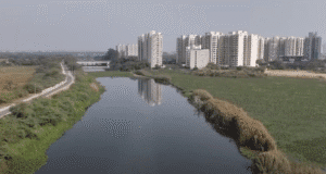 यमुना उफान पर: मैदानों में बढ़ा डर, दिल्ली में बाढ़ का संकट