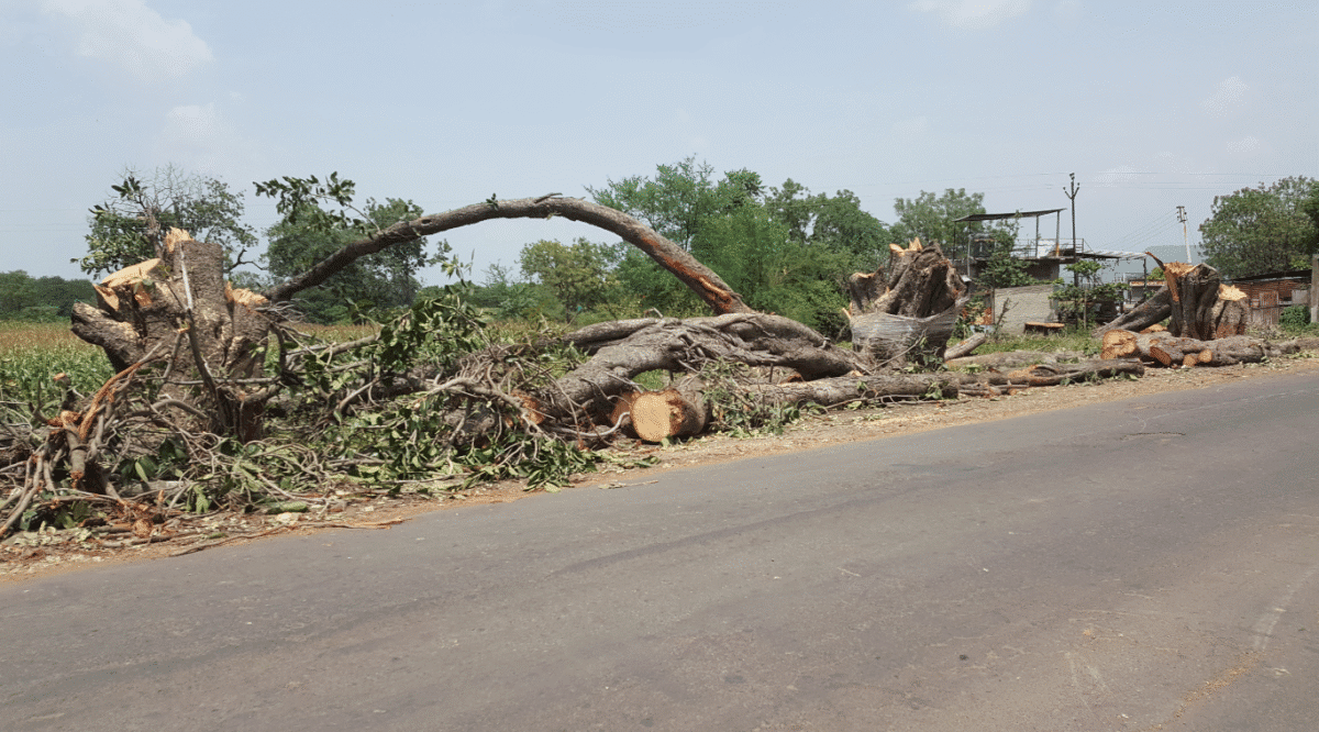 सुप्रीम कोर्ट का कड़ा संदेश : हिमालयी राज्यों में बाढ़–भूस्खलन पर सरकारें जवाबदेह, ग्रीन नॉर्म्स उल्लंघन पर होगी सख़्त कार्रवाई