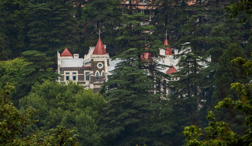 हाईकोर्ट का बड़ा आदेश: 22 सितंबर तक जारी हो अंतरिम प्रोमोशन सूची, LT ग्रेड शिक्षकों को वर्षों बाद राहत की उम्मीद