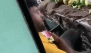 उत्तरकाशी में सब्जी विक्रेता की शर्मनाक हरकत, महिलाओं की फोटो व वीडियो चोरी-छिपे लेने का आरोप, मोबाइल से आपत्तिजनक सामग्री बरामद