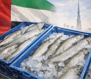 दुबई भेजी जाएगी उत्तराखंड की ट्राउट फिश, राज्य के मत्स्य उत्पादों को मिलेगा अंतरराष्ट्रीय बाजार