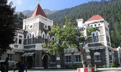 उत्तराखंड हाईकोर्ट ने मसूरी नगर पालिका को पेड़ काटने से रोका, पर्यावरण और नियमों की सुरक्षा को बनाया सर्वोच्च प्राथमिकता