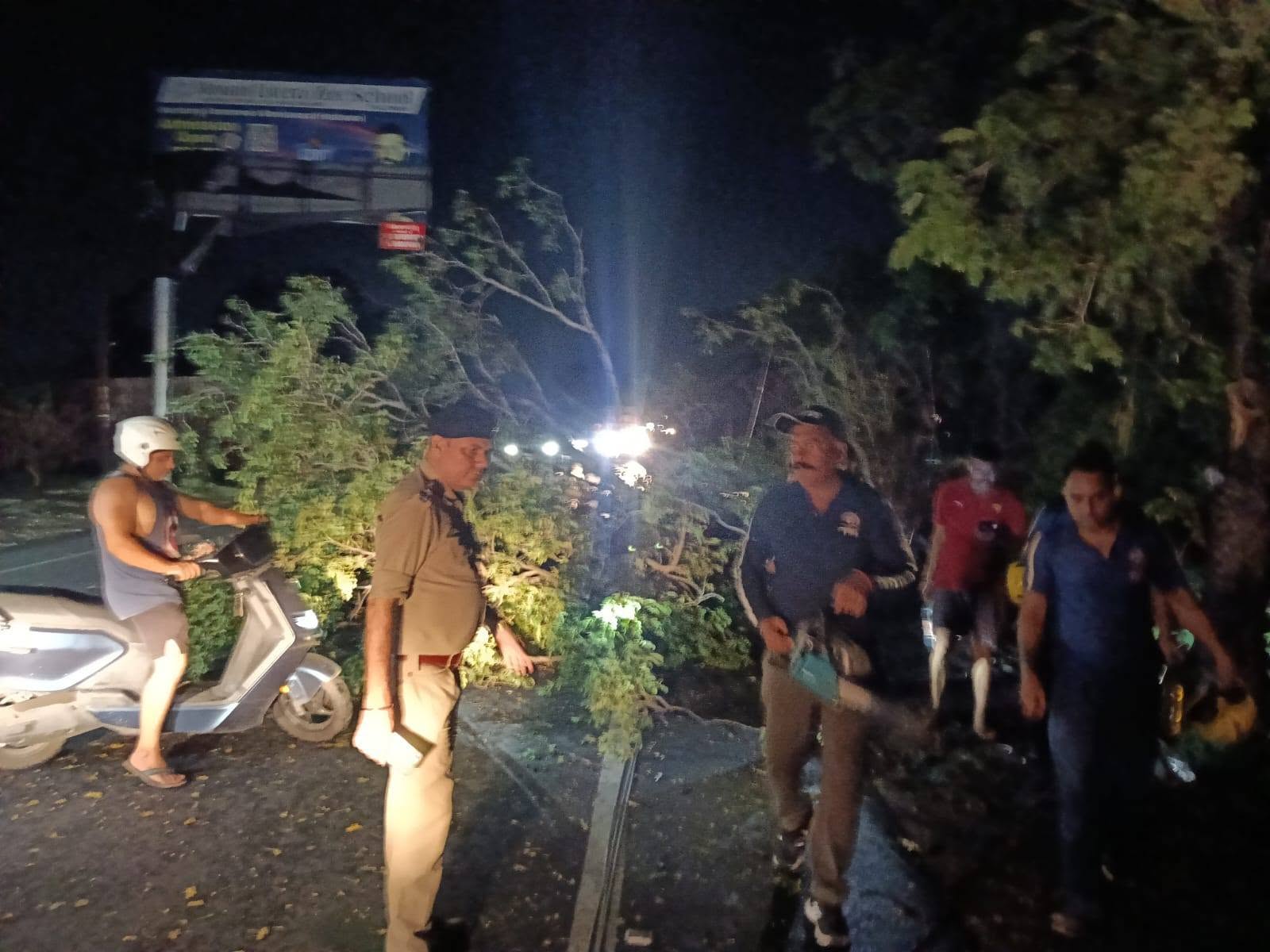 तेज आंधी से पेड़ गिरा, हल्द्वानी–काठगोदाम हाईवे पर यातायात बाधित, पुलिस–फायर ब्रिगेड ने संभाली स्थिति